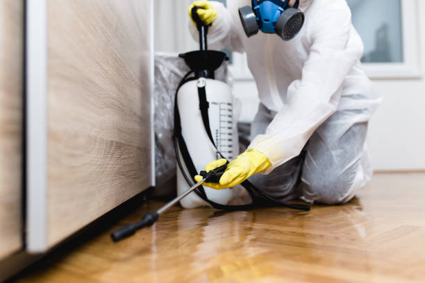 Best Cockroach Control Services  in Seven Fields, PA