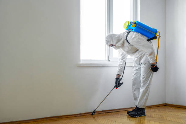 Best Wasp Removal Services  in Seven Fields, PA