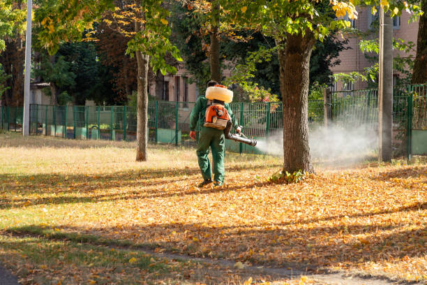 Best Local Pest Control Services  in Seven Fields, PA