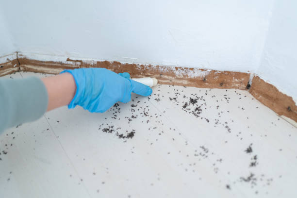 Best Mosquito Control Services  in Seven Fields, PA